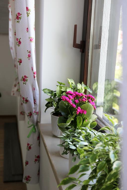 Lake House Apartment Medvode Luaran gambar