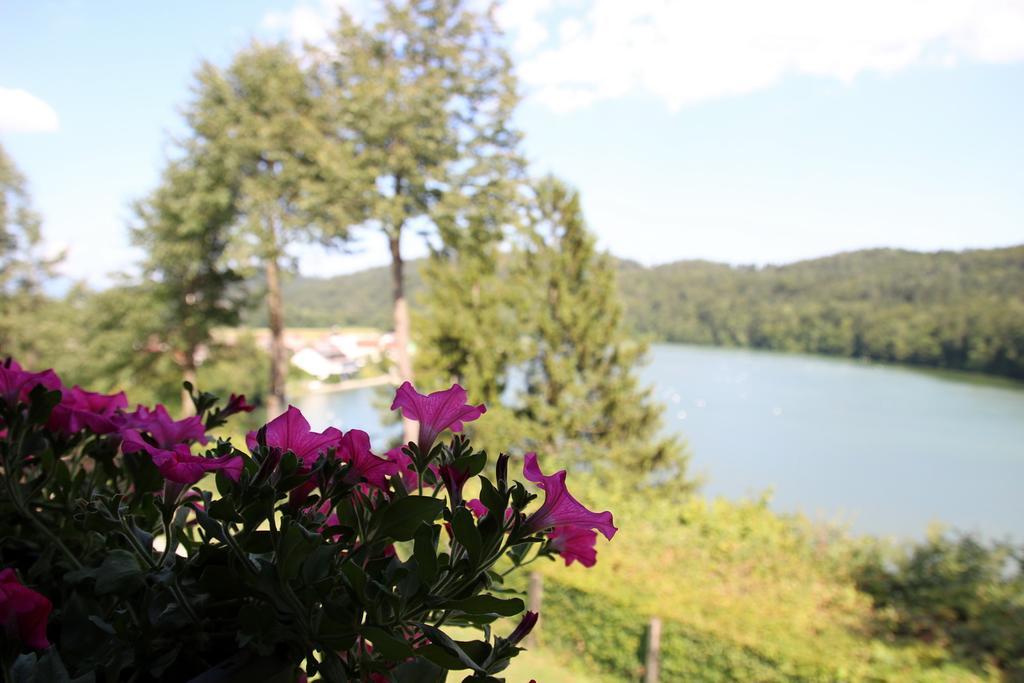 Lake House Apartment Medvode Luaran gambar