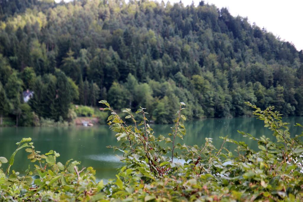 Lake House Apartment Medvode Luaran gambar