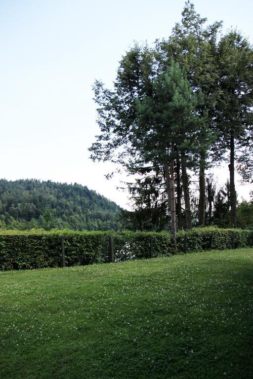 Lake House Apartment Medvode Luaran gambar